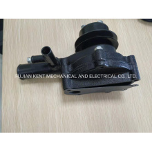 Quality Diesel Engines Spare Part Electric Genset Water Pump From Original Yangdong